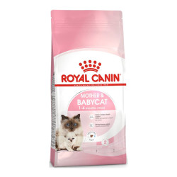 Royal Canin FHN chatte et chaton aliment sec 4kg