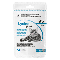 Dômes Pharma Lysine Plus 30 comprimés