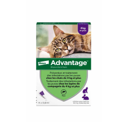 Advantage 80 pour chat et lapin 4 pipettes de 0.8ml